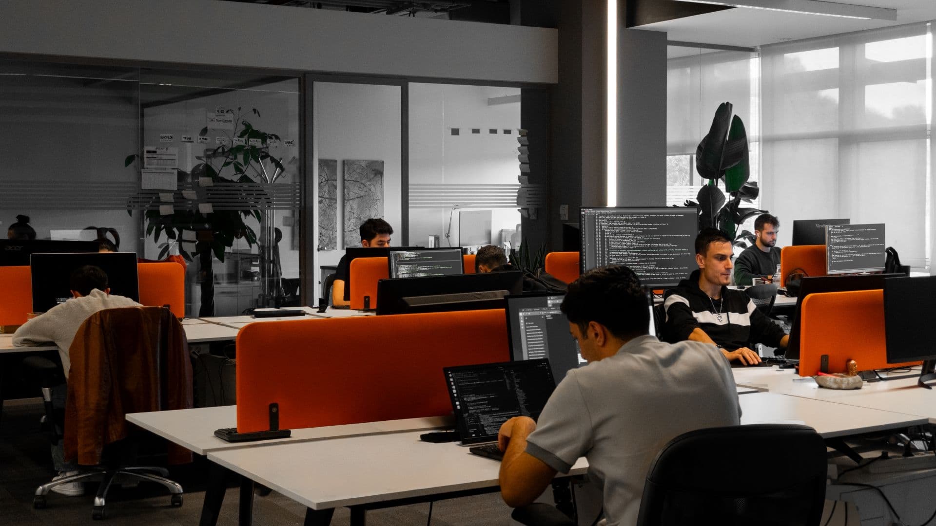 Profesyonel Hizmetler